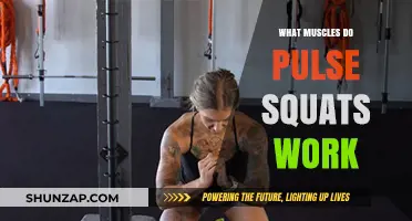 Pulse Squats: Target Muscles and Benefits for Lower Body Strength