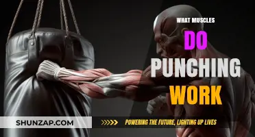 Punching Power: Muscles Engaged in Every Strike Explained