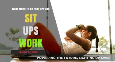 Push Ups and Sit Ups: Muscles Targeted and Strengthened