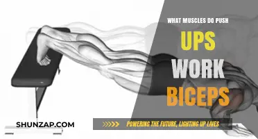 Do Push-Ups Work Biceps? Unveiling the Muscles Targeted in Push-Ups
