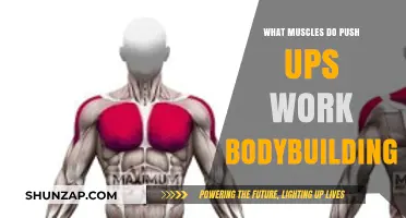 Push-Ups for Bodybuilding: Targeted Muscles and Strength-Building Benefits