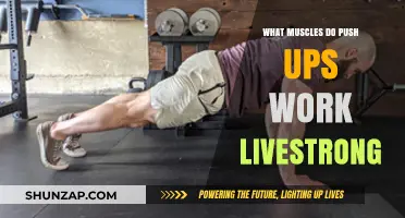 Push-Ups: Targeted Muscles and Strength Benefits for Full-Body Fitness