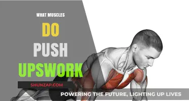 Push-ups: The Ultimate Upper Body Workout