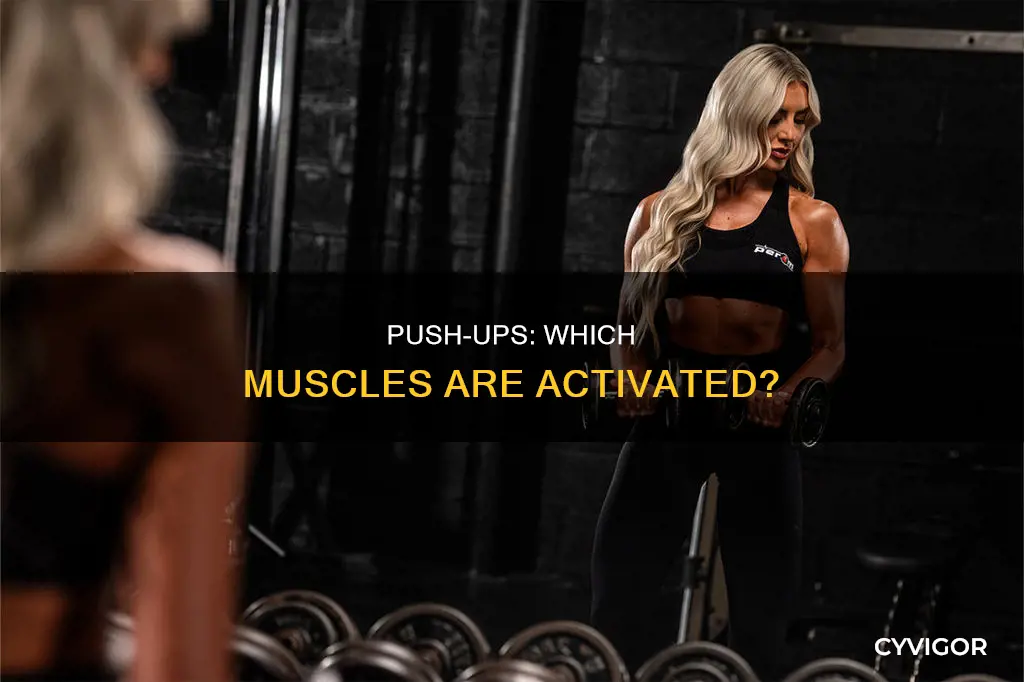what muscles do push