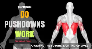 Pushdowns: Targeted Muscles and Benefits for Stronger Arms