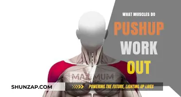 Pushup Power: Unveiling the Muscles Targeted in Every Rep