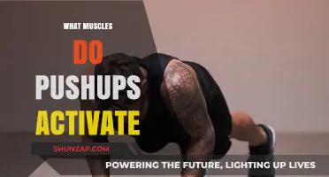 Pushups: Activating Your Body's Muscles