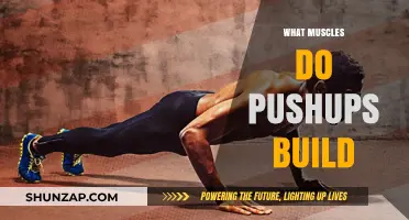 Unlocking Strength: The Muscle-Building Power of Pushups Revealed