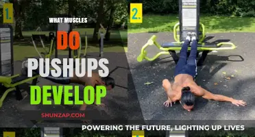 Push-ups: Building a Strong Upper Body