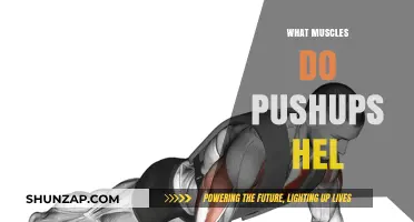 Pushups: Building Muscle and Strengthening Your Body