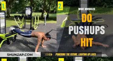 Pushups: The Ultimate Upper-Body Workout