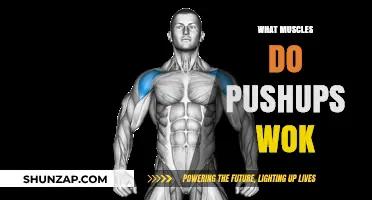 Pushups: Which Muscles Are Activated and How?