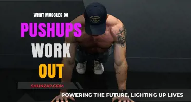Pushups: Unlocking Full-Body Strength and Targeted Muscle Engagement