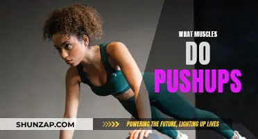 Push-ups: Which Muscles Do They Target and How?