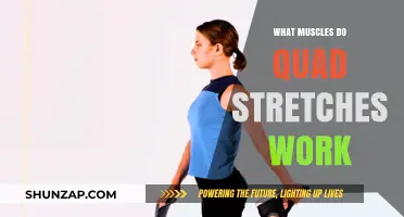 Quad Stretches: Target Muscles and Benefits for Flexibility and Strength