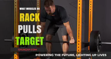 Rack Pulls: Key Muscles Targeted for Strength and Power
