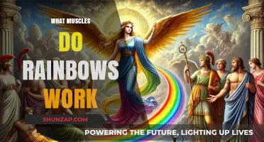 Unveiling the Myth: Do Rainbows Actually Work Any Muscles?