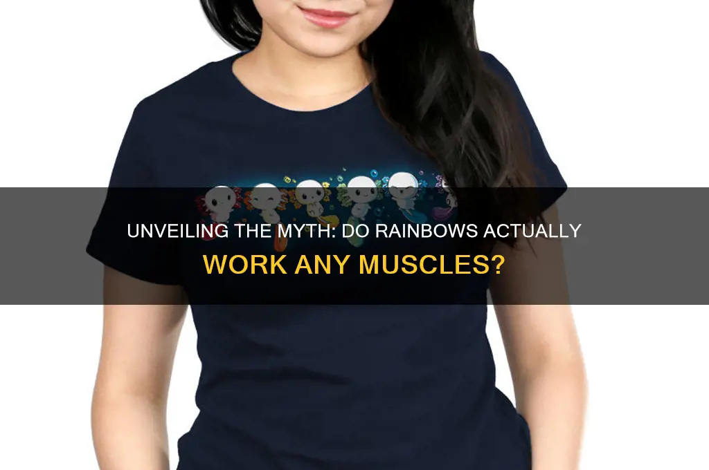 what muscles do rainbows work