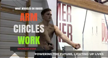 Raised Arm Circles: Targeted Muscles and Benefits Explained