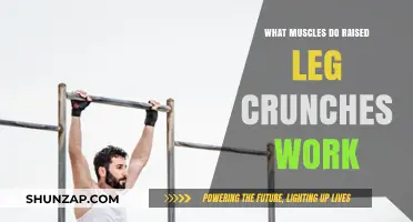 Raised Leg Crunches: Targeting Core, Hip Flexors, and Lower Abs