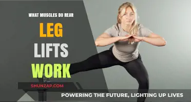 Rear Leg Lifts: Targeted Muscles and Benefits Explained