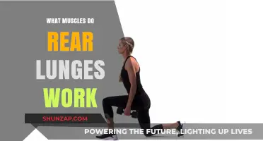 Rear Lunges: Target Muscles and Benefits for Lower Body Strength