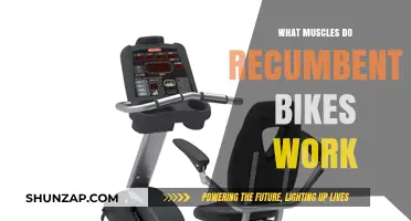 Recumbent Bikes: Target Muscles and Full-Body Benefits Explained