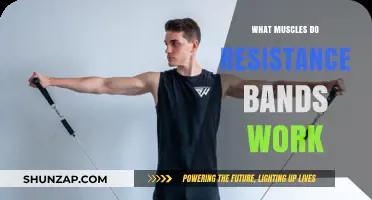 Resistance Bands: Targeting Muscles for Strength and Flexibility