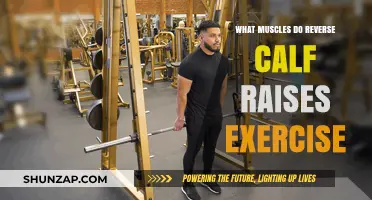 Unleashing Lower Leg Strength: The Power of Reverse Calf Raises