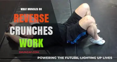 Reverse Crunches: Targeting Lower Abs and Core Muscles Effectively