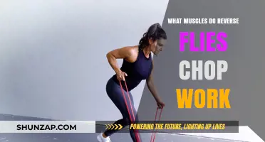 Reverse Flies and Chop Exercises: Targeted Muscles and Benefits Explained