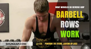 Reverse Grip Barbell Rows: Targeted Muscles and Workout Benefits