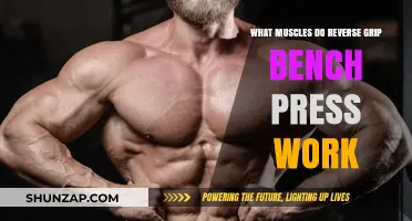 Reverse Grip Bench Press: Target Muscles and Benefits Explained