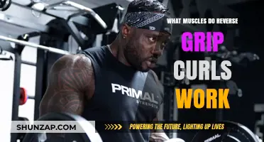 Reverse Grip Curls: Targeted Muscles and Benefits Explained