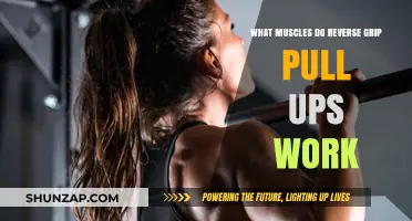 Reverse Grip Pull-Ups: Targeted Muscles and Strength Benefits Explained