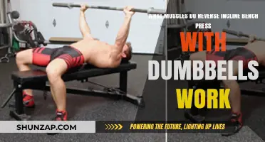 Reverse Incline Dumbbell Press: Muscles Targeted and Benefits Explained