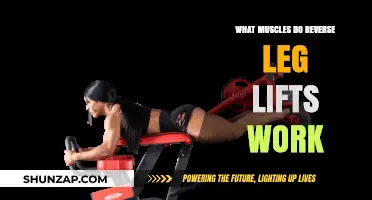 Reverse Leg Lifts: Targeted Muscles and Benefits Explained