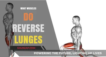 Reverse Lunges: Which Muscles Do They Target?