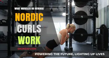 Reverse Nordic Curls: Targeted Muscles and Benefits Explained
