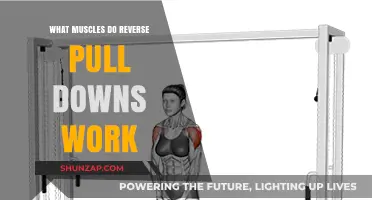 Reverse Pull Downs: Target Muscles and Benefits Explained