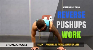 Reverse Pushups: Target Muscles and Benefits Explained