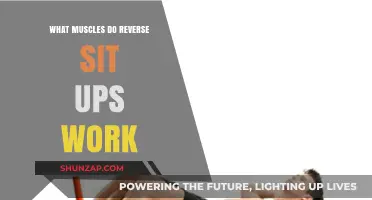 Reverse Sit-Ups: Targeting Lower Abs, Hip Flexors, and Core Muscles