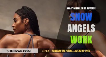 Reverse Snow Angels: Targeted Muscles and Benefits Explained