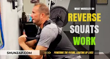 Reverse Squats: Target Muscles and Benefits for Strength Training