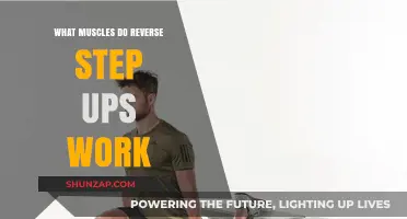 Reverse Step-Ups: Targeted Muscles and Benefits for Lower Body Strength