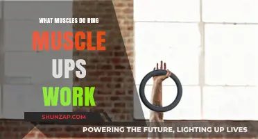 Muscles Targeted by Ring Muscle Ups: A Comprehensive Breakdown