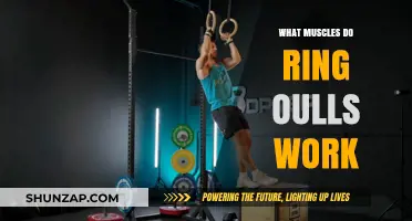 Ring Pulls Muscles: Targeted Strength Training and Benefits Explained