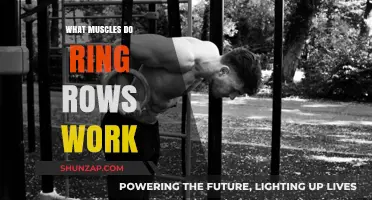Ring Rows: Target Muscles and Benefits for Upper Body Strength