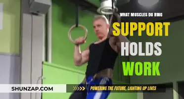 Ring Support Holds: Targeted Muscles and Strength Benefits Explained