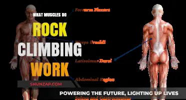 Rock Climbing's Full-Body Workout: Muscles Engaged and Strengthened